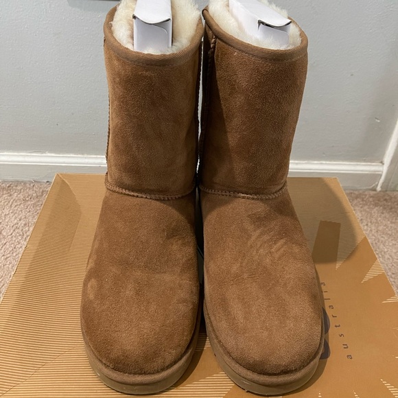 UGG Shoes - UGG Classic Short Chestnut